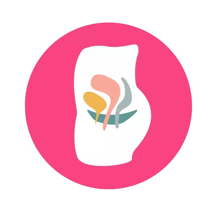 icono4-mujer-urologia-para-adultos-urologoenirapuato.webp